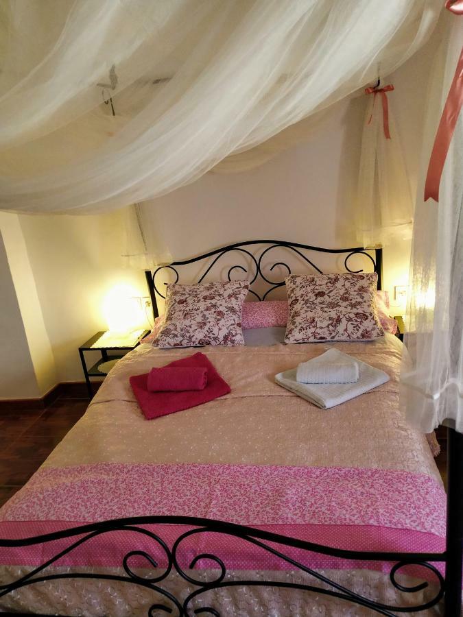 Apartamento Entero "El Casco Antiguo" Vt-46811-V Xativa Ngoại thất bức ảnh